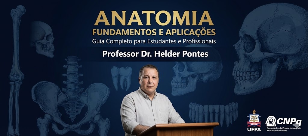 Animação explicando a Anatomia